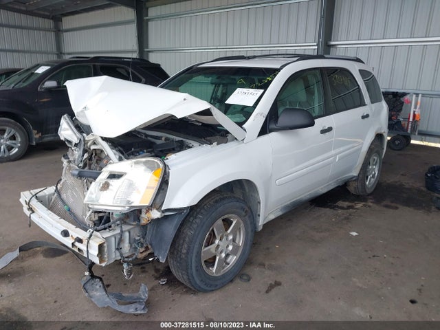 2005 CHEVROLET EQUINOX LS VIN: 2CNDL23F956028202