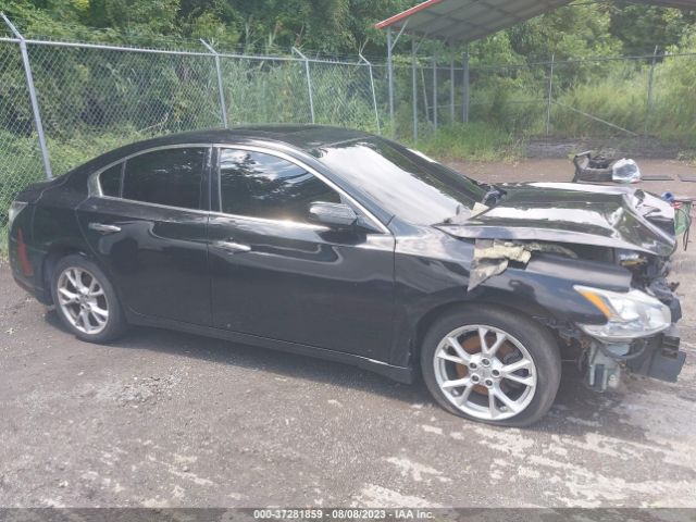 1N4AA5APXEC479923 Nissan Maxima 3.5 S