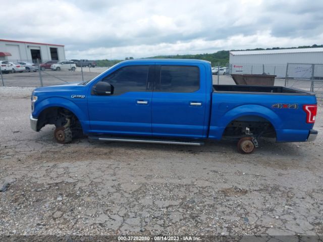 1FTEW1EF0FKE21639 Ford F-150 Xlt/xl/lariat/platinum