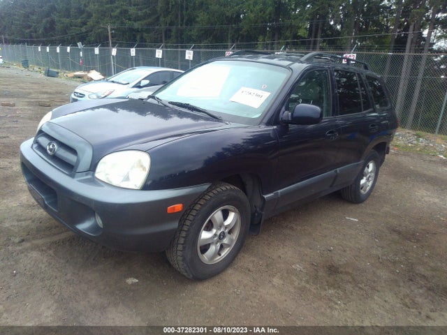 2005 HYUNDAI SANTA FE VIN: KM8SC13D95U957467