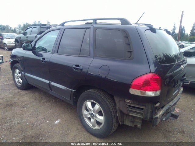 2005 HYUNDAI SANTA FE VIN: KM8SC13D95U957467