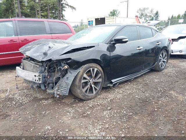 Nissan Maxima 3.5 Sl 2016 1N4AA6AP5GC375445 Image 2