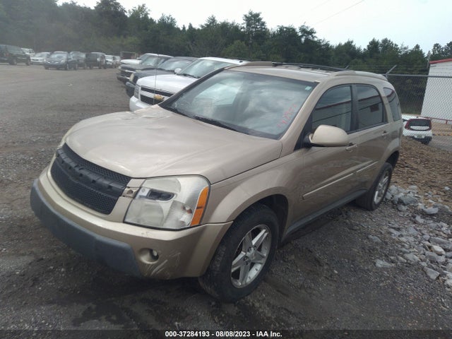 2006 CHEVROLET EQUINOX LT VIN: 2CNDL63F866147951