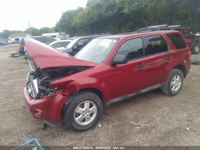 2011 FORD ESCAPE XLT VIN: 1FMCU9DG3BKA13454