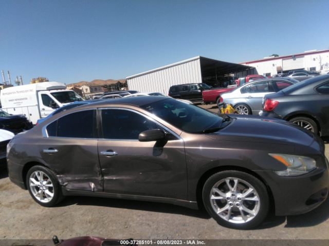 1N4AA5AP3EC430322 Nissan Maxima 3.5 S