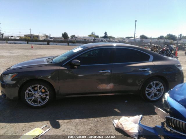 1N4AA5AP3EC430322 Nissan Maxima 3.5 S
