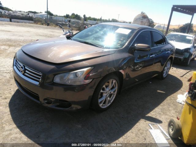 1N4AA5AP3EC430322 Nissan Maxima 3.5 S