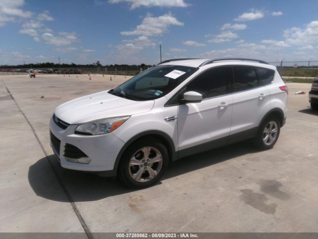 1FMCU0GX5EUE11832 Ford ESCAPE SE