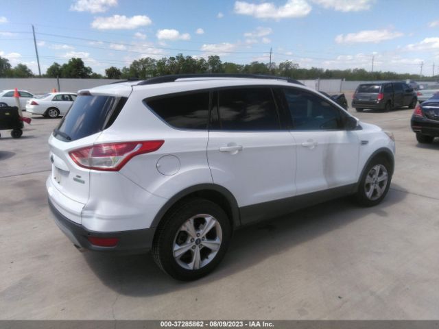 1FMCU0GX5EUE11832 Ford ESCAPE SE
