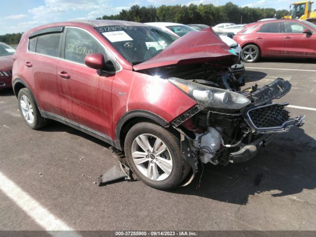 2018 KIA SPORTAGE KNDPMCAC7J7318641