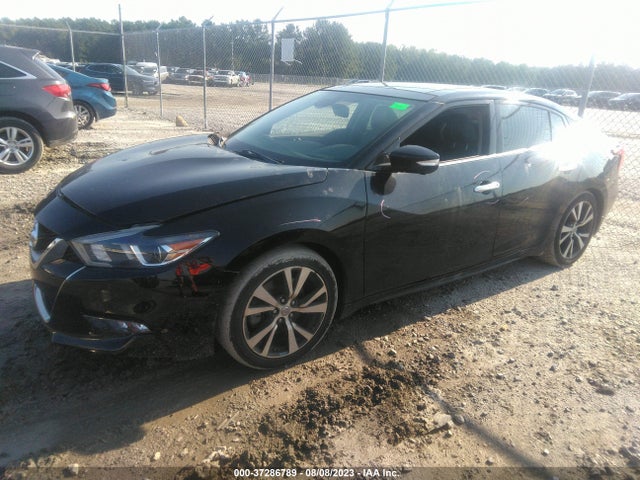 Nissan Maxima 3.5 Platinum 2016 1N4AA6AP1GC446818 Image 2