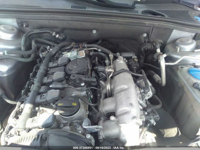 WAUFFAFL7GN005321 Audi A4 Premium Plus