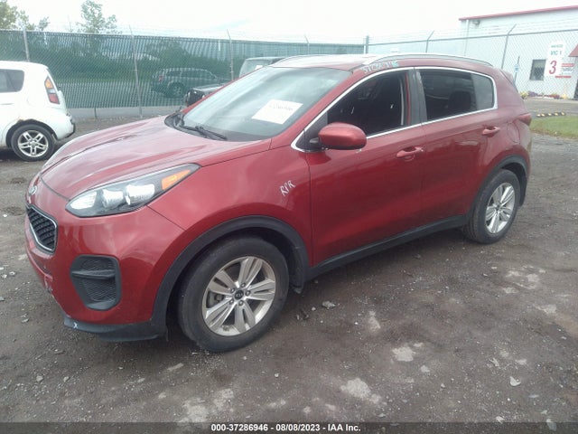 2017 KIA SPORTAGE LX VIN: KNDPM3AC7H7208232