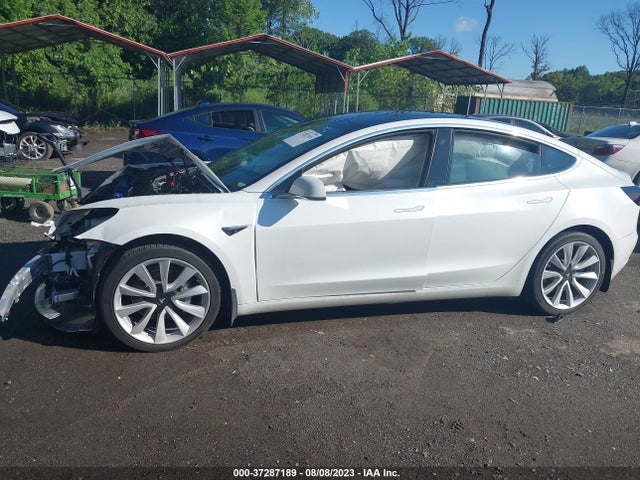 2020 Tesla 3, VIN: 5YJ3E1EC5LF587003