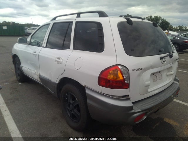 2004 HYUNDAI SANTA FE GLS VIN: KM8SC73D64U795525