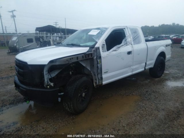 1FTEX1EP9FFC37265 Ford F-150 Xlt/xl/lariat