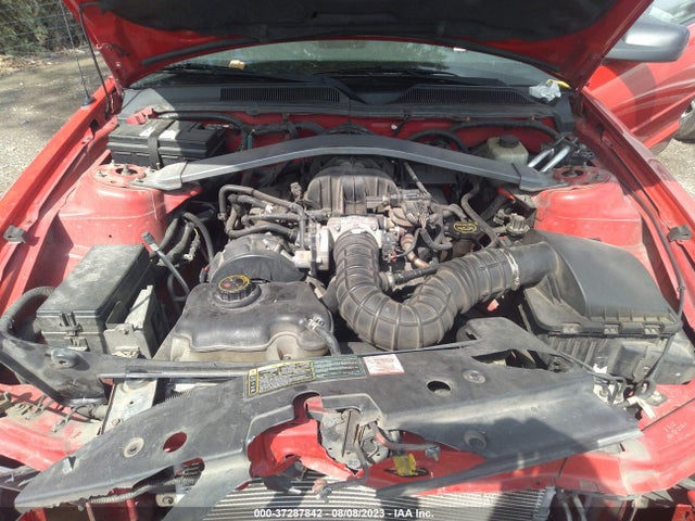 2005 FORD MUSTANG DELUXE/PREMIUM VIN: 1ZVFT84N355217474