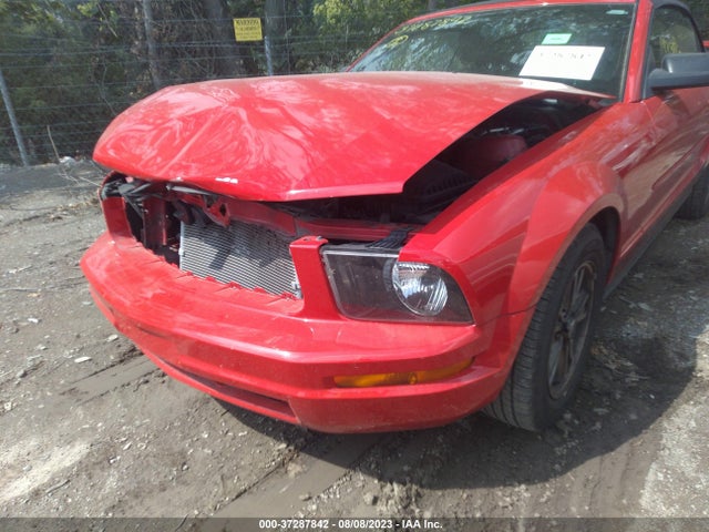 2005 FORD MUSTANG DELUXE/PREMIUM VIN: 1ZVFT84N355217474