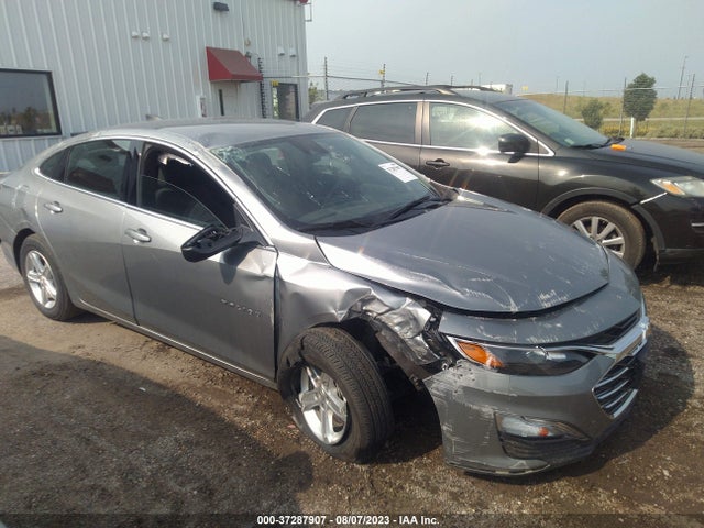 Chevrolet MALIBU LS 2023 1G1ZC5ST6PF191412 Image 6