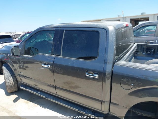 1FTEW1CPXFKD15176 Ford F-150 Xl/lariat/xlt