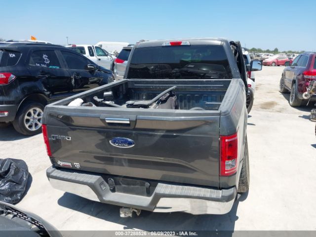 1FTEW1CPXFKD15176 Ford F-150 Xl/lariat/xlt