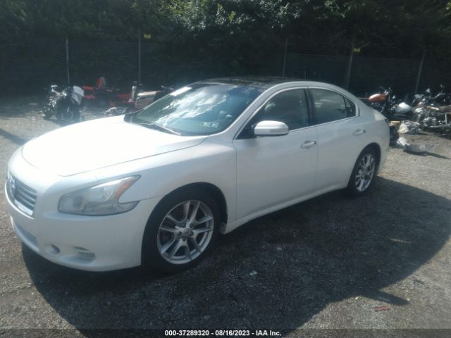 1N4AA5APXEC912737 Nissan Maxima 3.5 Sv W/premium Pkg
