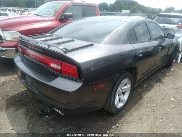 2013 DODGE CHARGER POLICE VIN: 2C3CDXAG2DH673741