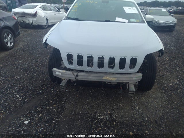 2019 JEEP CHEROKEE LIMITED VIN: 1C4PJMDX3KD232064