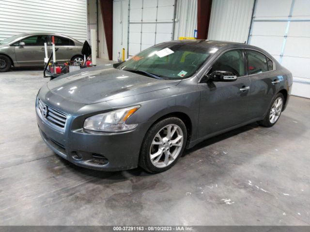 1N4AA5AP7EC443316 Nissan Maxima 3.5 Sv W/premium Pkg