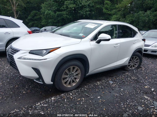 2020 LEXUS NX NX 300 VIN: JTJAARDZ3L5018561