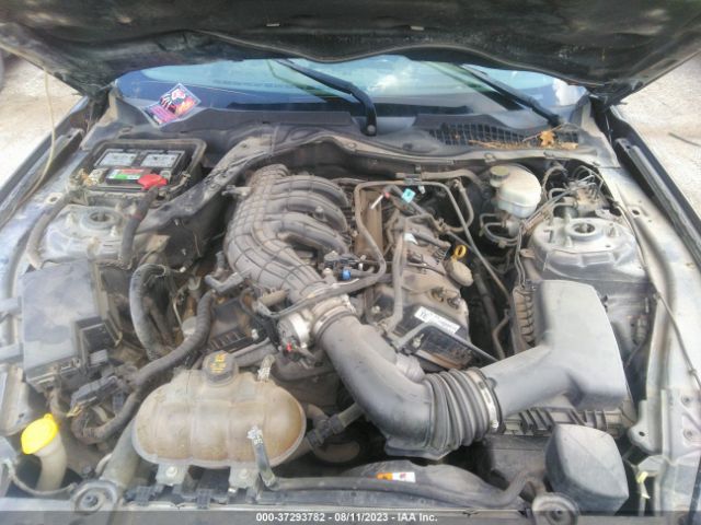 1FA6P8AMXF5318604 Ford Mustang V6
