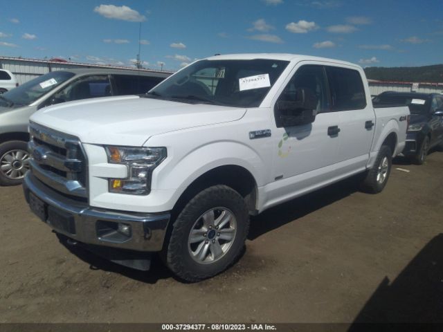1FTEW1EG5HKE25715 Ford F-150 Xl/xlt/lariat