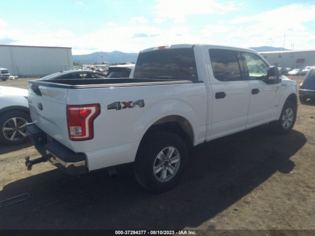 1FTEW1EG5HKE25715 Ford F-150 Xl/xlt/lariat