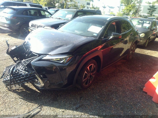 2020 Lexus UX, VIN: JTHX3JBH1L2029920