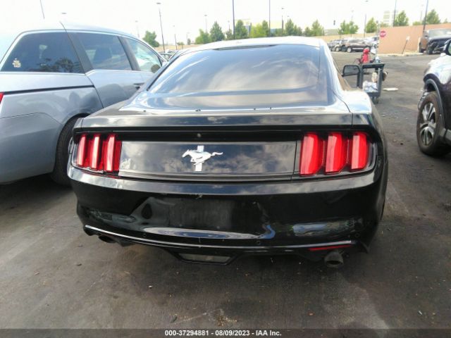1FA6P8AM7H5291591 Ford Mustang V6