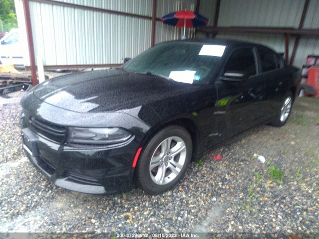 2019 DODGE CHARGER 2C3CDXBG5KH655648 Photo 1