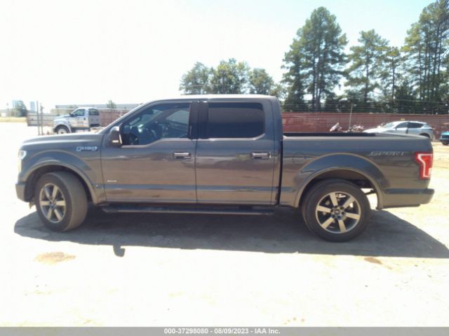 1FTEW1CP0FKF02250 Ford F-150 Xl/lariat/xlt