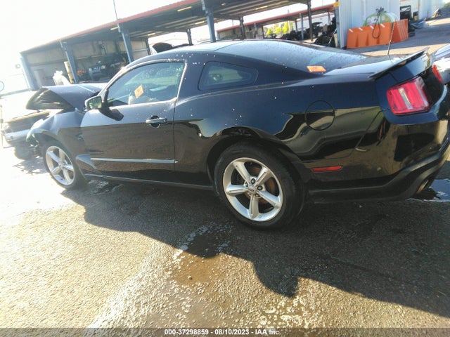 2012 FORD MUSTANG GT VIN: 1ZVBP8CF6C5255436