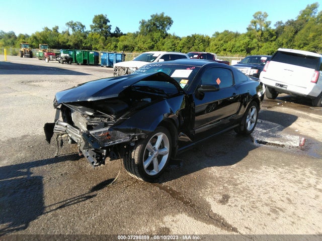 2012 FORD MUSTANG GT VIN: 1ZVBP8CF6C5255436