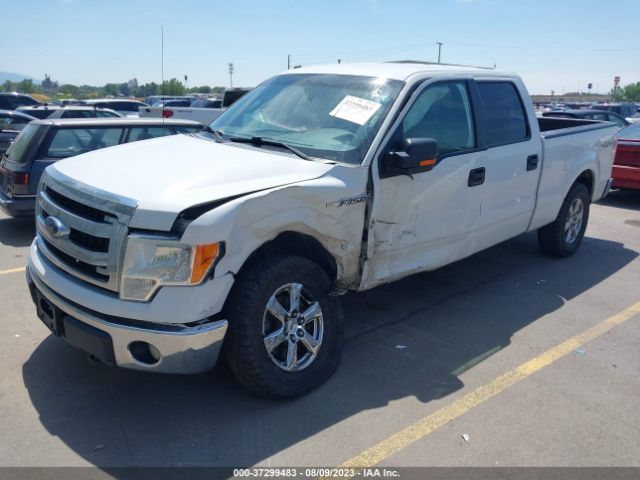 1FTFW1EF3EKD83603 Ford F-150 Xl/xlt/stx/fx4/lariat