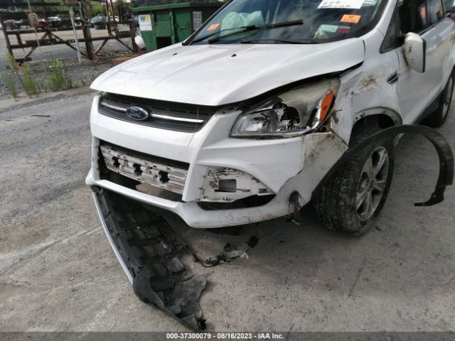 1FMCU0GX8EUE55162 Ford ESCAPE SE