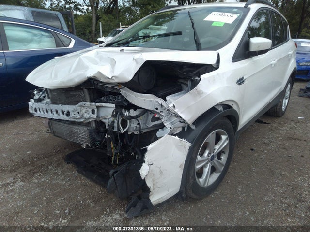 Ford ESCAPE SE 2016 1FMCU0GX0GUB55909 Image 7