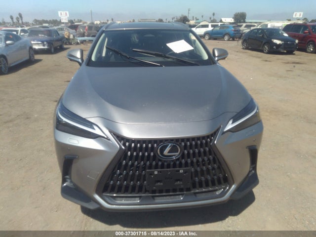 2022 Lexus NX, VIN: JTJHKCFZ0N2009066