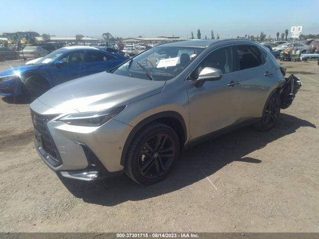 2022 Lexus NX, VIN: JTJHKCFZ0N2009066