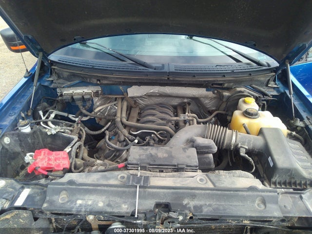 1FTFW1EF9EKG32552 Ford F-150 Xlt