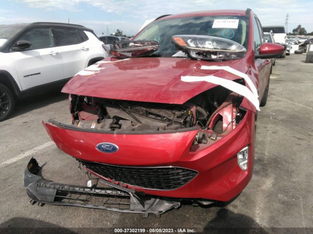 1FMCU0H66LUB69670 Ford ESCAPE SEL