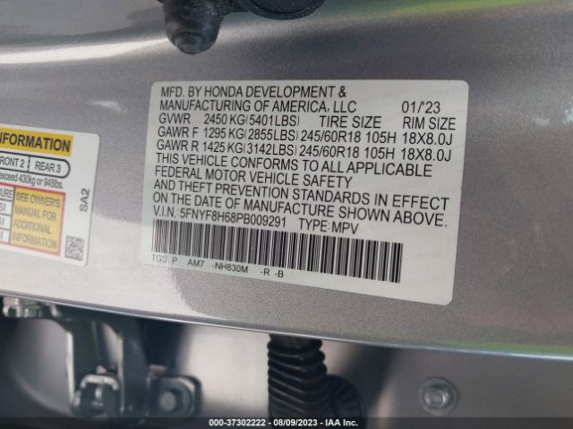 5FNYF8H68PB009291 Honda Passport Trailsport