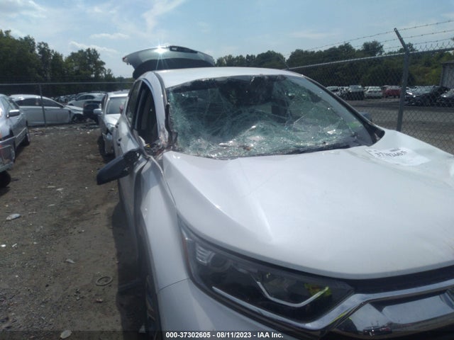 Honda CR-V LX 2019 2HKRW5H36KH406677 Image 6