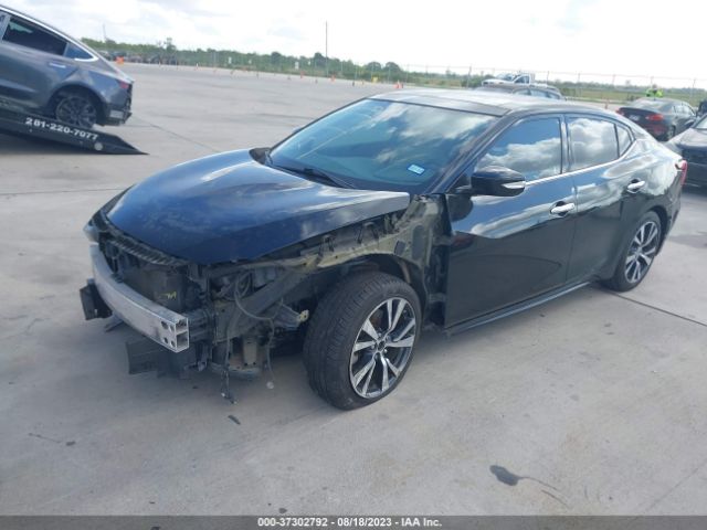 1N4AA6AP9HC390466 Nissan MAXIMA SL