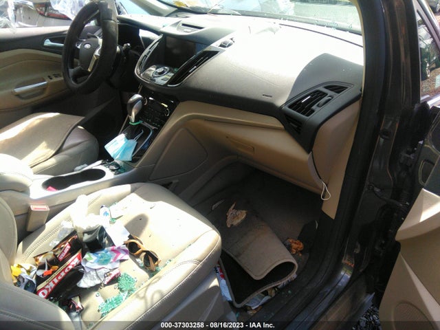 2015 Ford C-Max, VIN: 1FADP5CU8FL102555